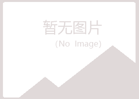 日照岚山新波水泥有限公司